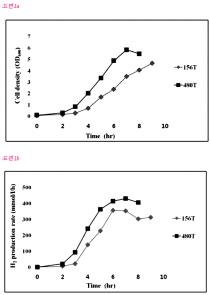고농도의 써모코커스 온누리누스 480T균주및이를이용한수소생산방법
