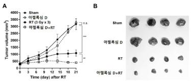 아젤록심 D를 유효성분으로 함유하는 방사선 민감성 증진용 조성물