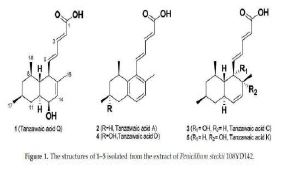 해양 유래 진균이 페니실리움 스테키로부터 생산되는 항염증 활성을 가지는 탄자와익산 유도체
