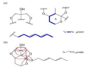 스트렙토미세스로부터 유래된 새로운 화합물 및 용도