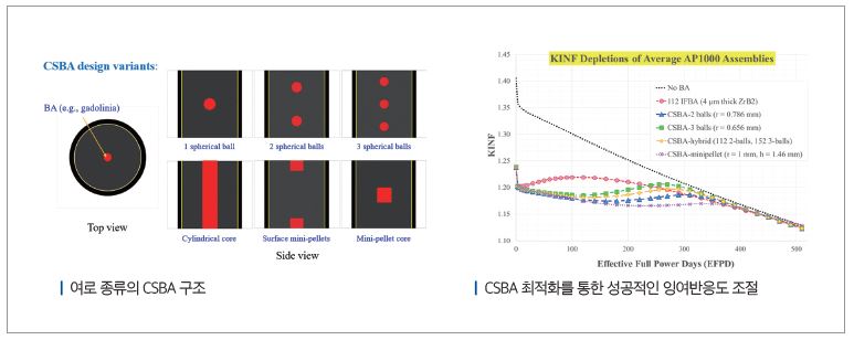 국부의 가연성흡수체를 포함하는 핵연료 소결체