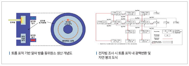 의료용 방사성 동위원소의 생산 방법 및 시스템