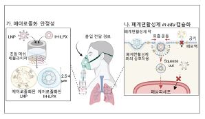 흡입 전달용 mRNA 전달 입자 플랫폼