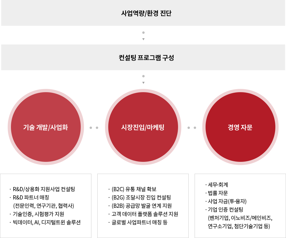 사업역량/환경 진단-컨설팅 프로그램 구성-기술개발/사업화-시장진입/마케팅-경영 자문