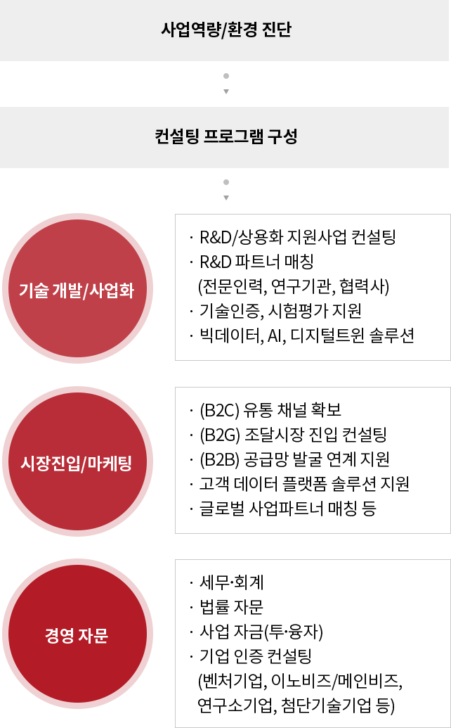 사업역량/환경 진단-컨설팅 프로그램 구성-기술개발/사업화-시장진입/마케팅-경영 자문